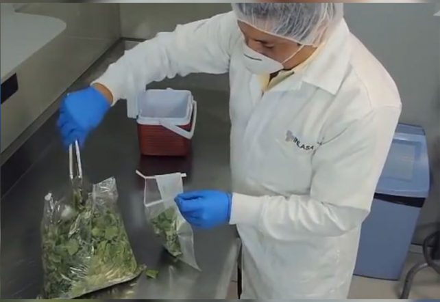 Monitoreo de Alimentos sin Tratamiento Térmico